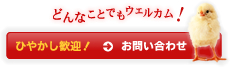 冷やかし歓迎！お問い合わせ