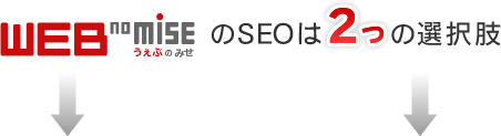 Webの店のSEOは2つの選択肢