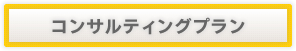 コンサルティングプラン